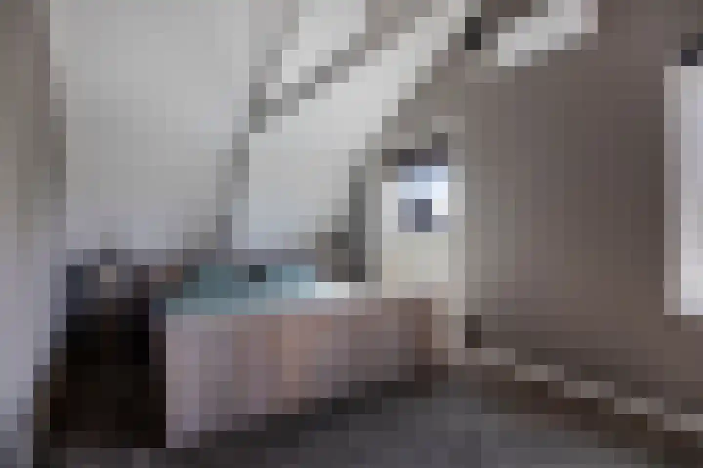 Oude Rijksweg 423 Rouveen thumbnail 29
