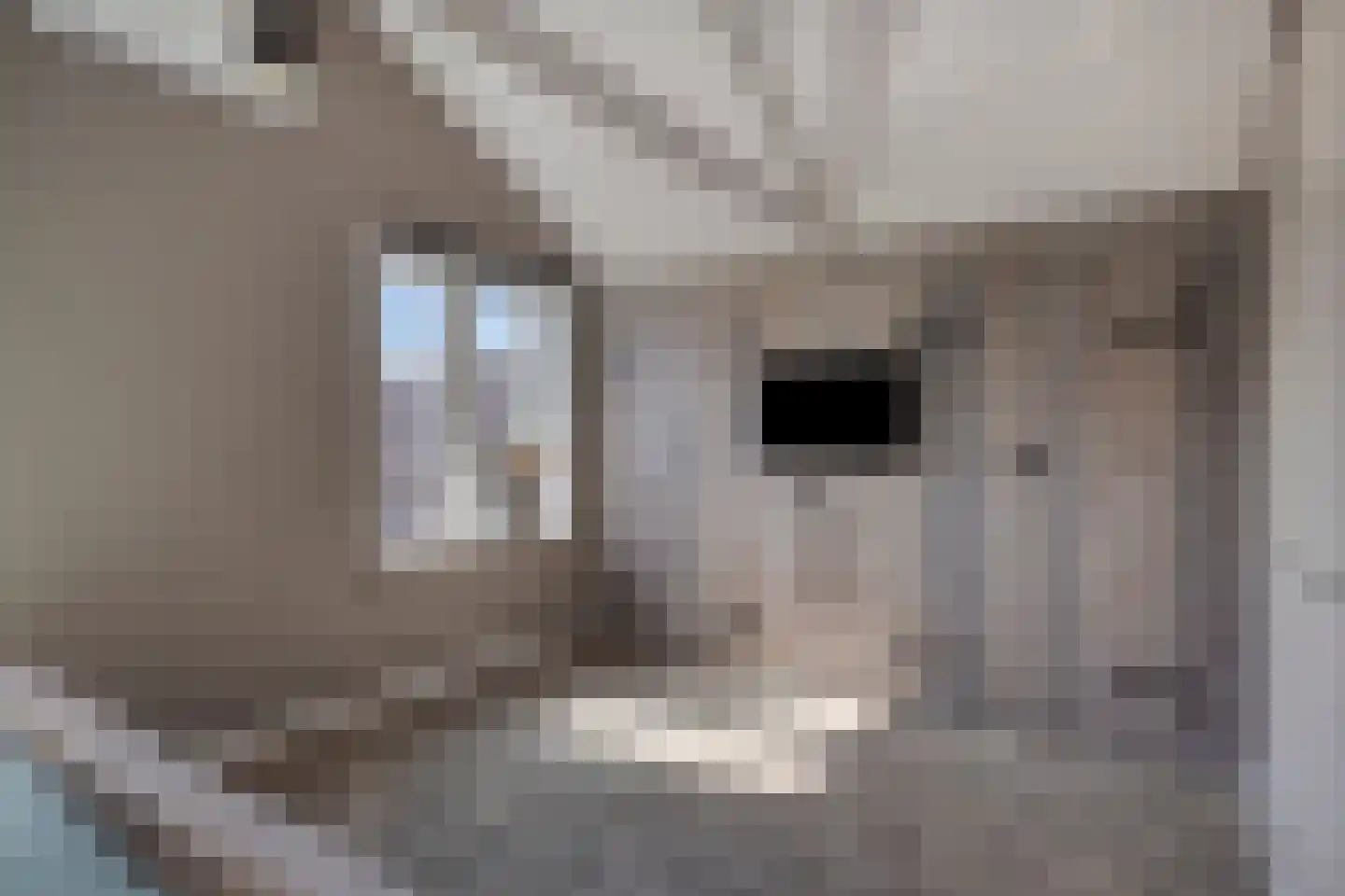 Oude Rijksweg 423 Rouveen thumbnail 30