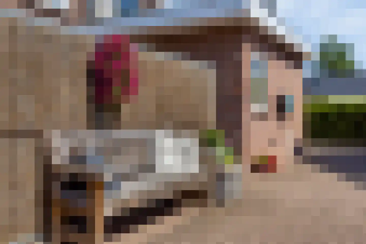 Oude Rijksweg 423 Rouveen thumbnail 37