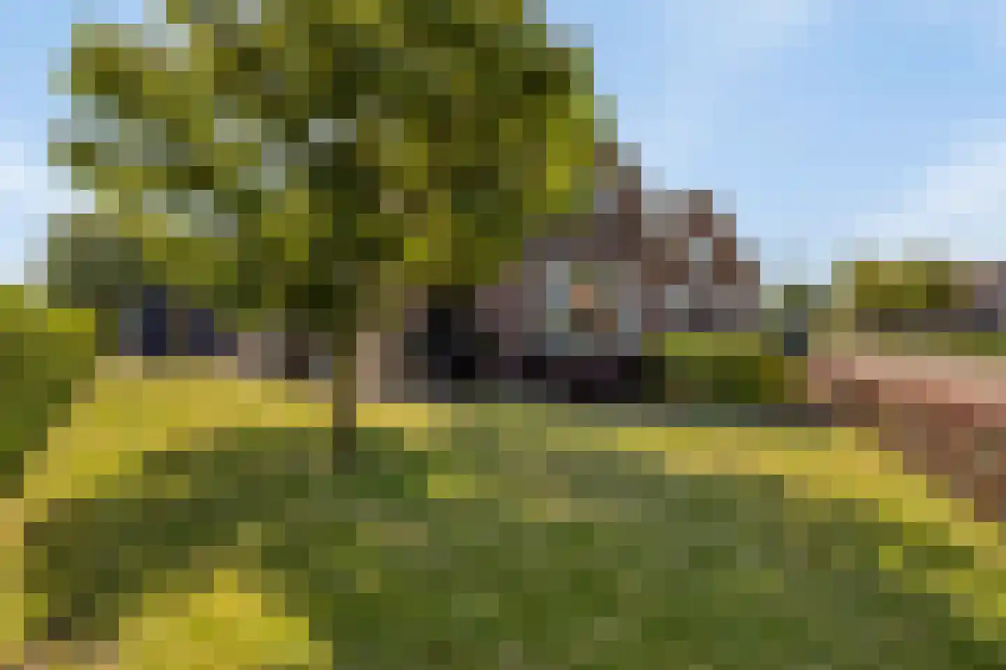 Oude Rijksweg 423 Rouveen thumbnail 5