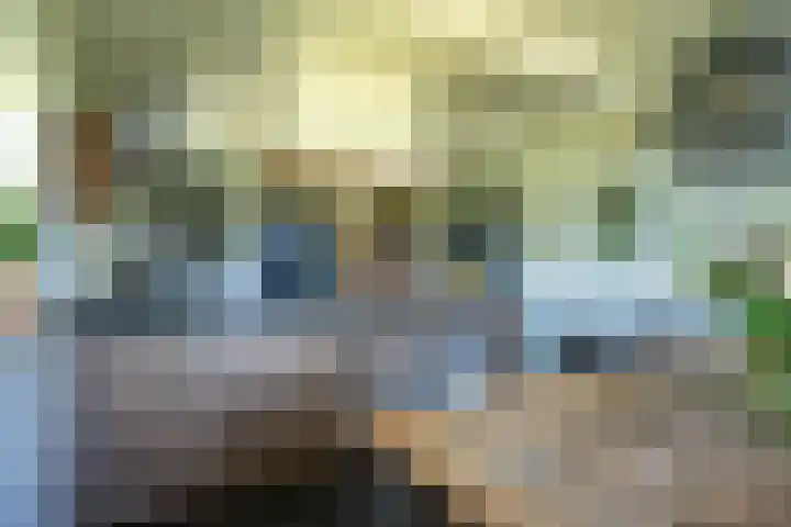 Oude Rijksweg 441 Rouveen thumbnail 11