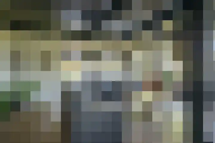 Oude Rijksweg 441 Rouveen thumbnail 12