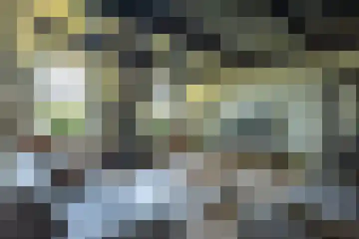 Oude Rijksweg 441 Rouveen thumbnail 14