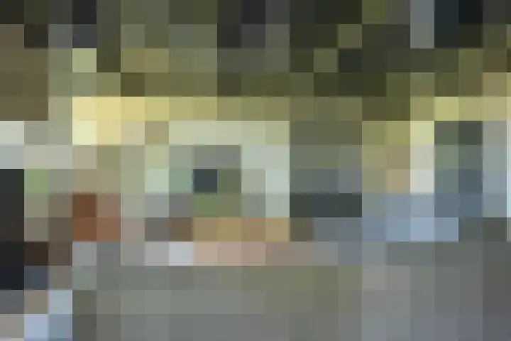Oude Rijksweg 441 Rouveen thumbnail 15