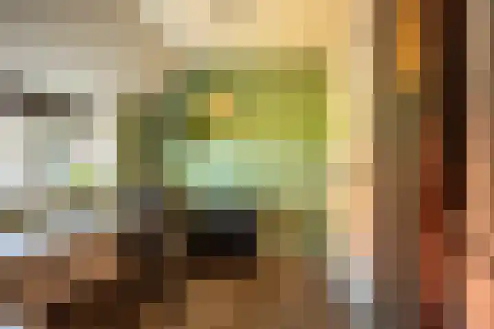 Oude Rijksweg 441 Rouveen thumbnail 18