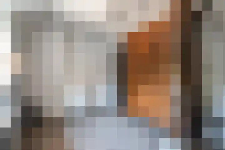 Oude Rijksweg 441 Rouveen thumbnail 23