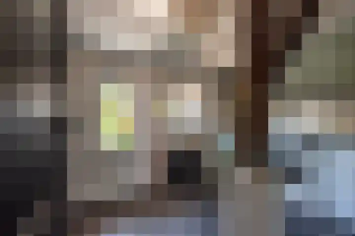 Oude Rijksweg 441 Rouveen thumbnail 25