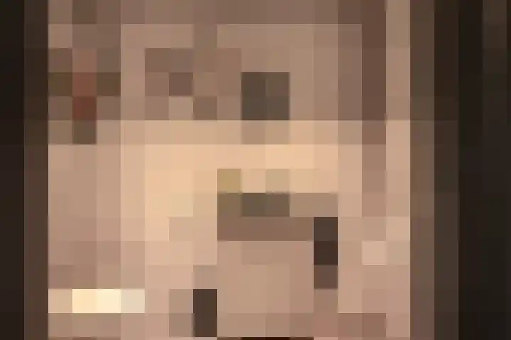 Oude Rijksweg 441 Rouveen thumbnail 26