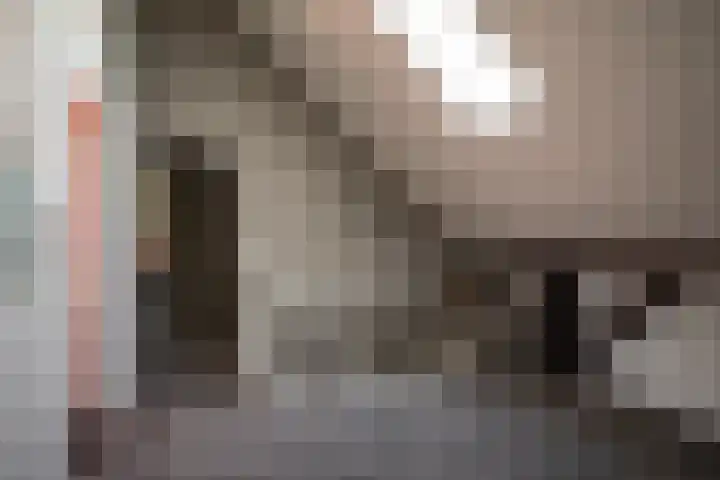 Oude Rijksweg 441 Rouveen thumbnail 27