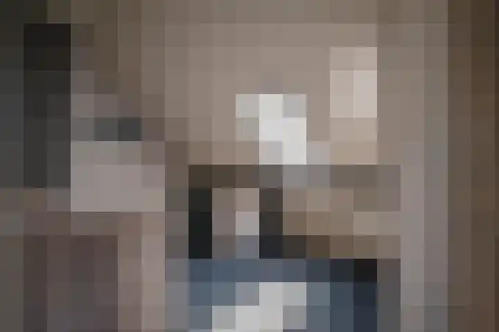 Oude Rijksweg 441 Rouveen thumbnail 33