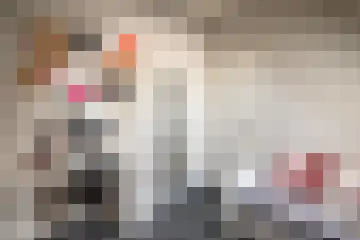 Oude Rijksweg 441 Rouveen thumbnail 36