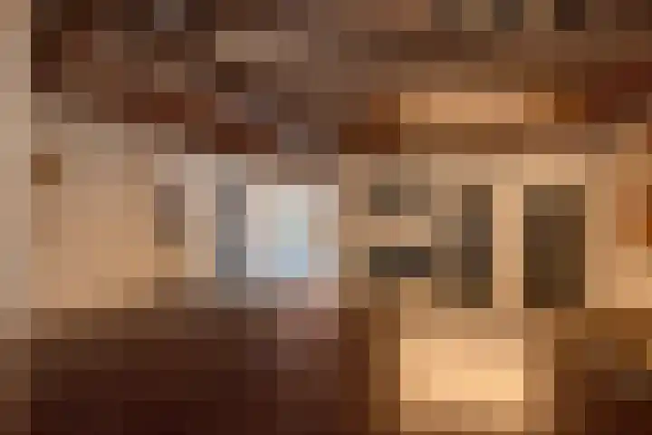 Oude Rijksweg 441 Rouveen thumbnail 38