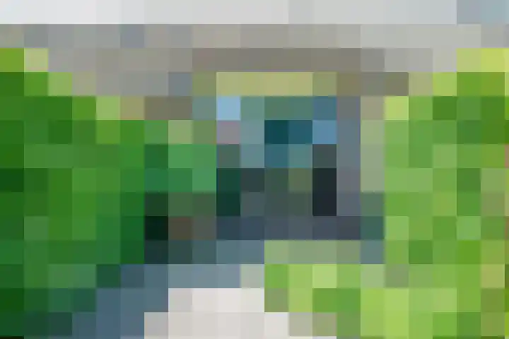 Oude Rijksweg 441 Rouveen thumbnail 4