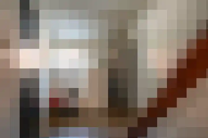 Oude Rijksweg 441 Rouveen thumbnail 40
