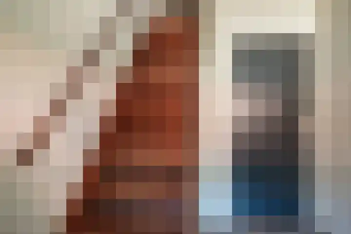 Oude Rijksweg 441 Rouveen thumbnail 43