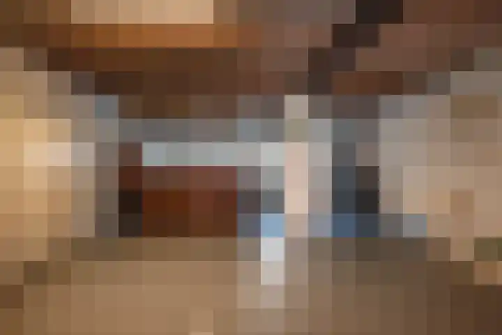 Oude Rijksweg 441 Rouveen thumbnail 48