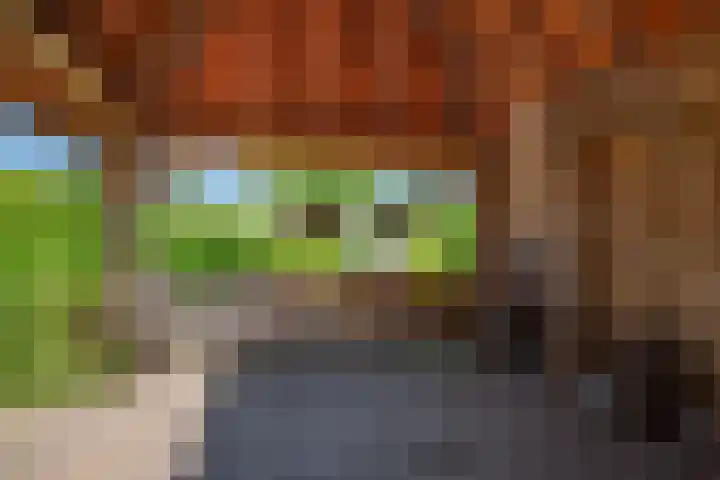 Oude Rijksweg 441 Rouveen thumbnail 51