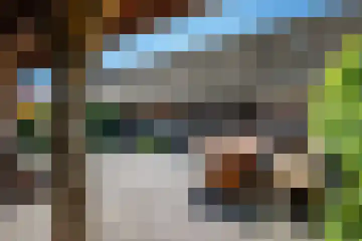 Oude Rijksweg 441 Rouveen thumbnail 52