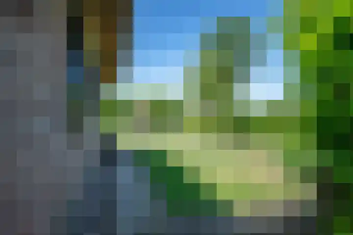 Oude Rijksweg 441 Rouveen thumbnail 57