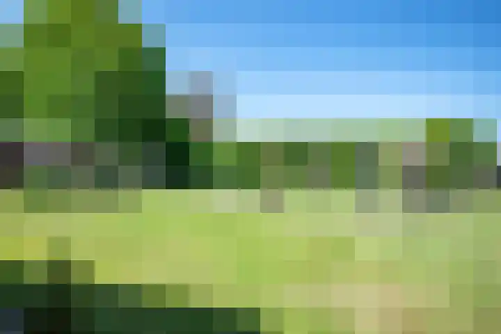 Oude Rijksweg 441 Rouveen thumbnail 58