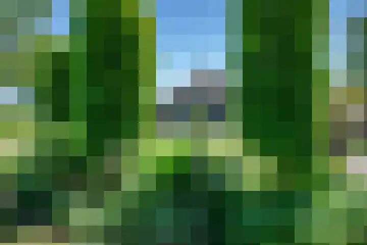 Oude Rijksweg 441 Rouveen thumbnail 59
