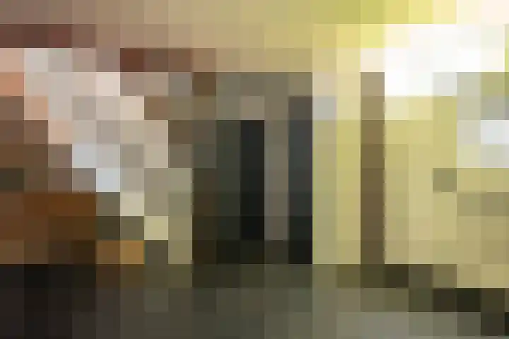 Oude Rijksweg 441 Rouveen thumbnail 6