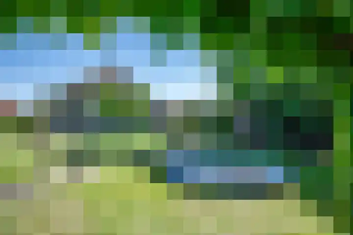 Oude Rijksweg 441 Rouveen thumbnail 60