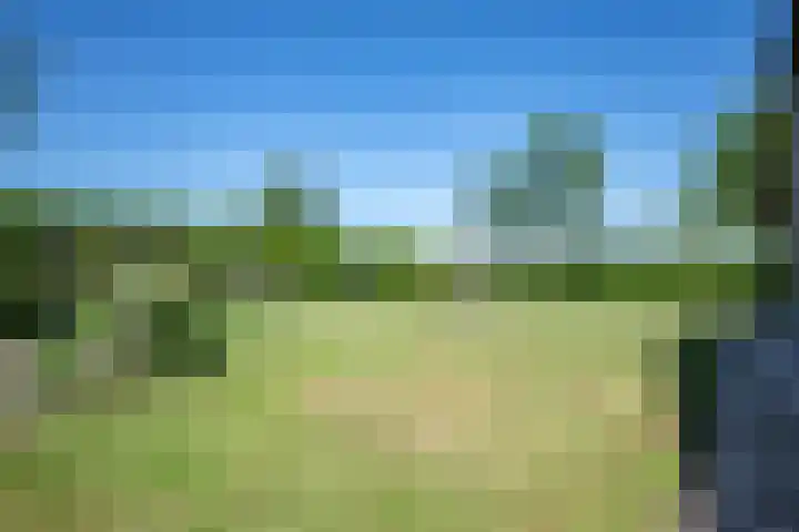 Oude Rijksweg 441 Rouveen thumbnail 61