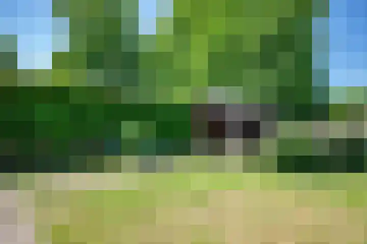 Oude Rijksweg 441 Rouveen thumbnail 62
