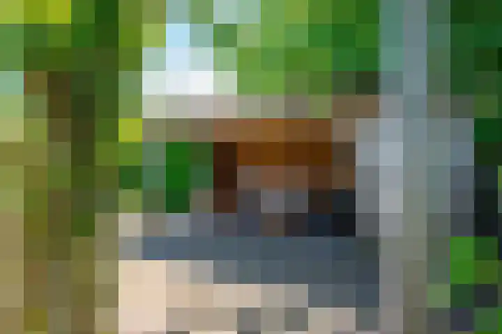 Oude Rijksweg 441 Rouveen thumbnail 63