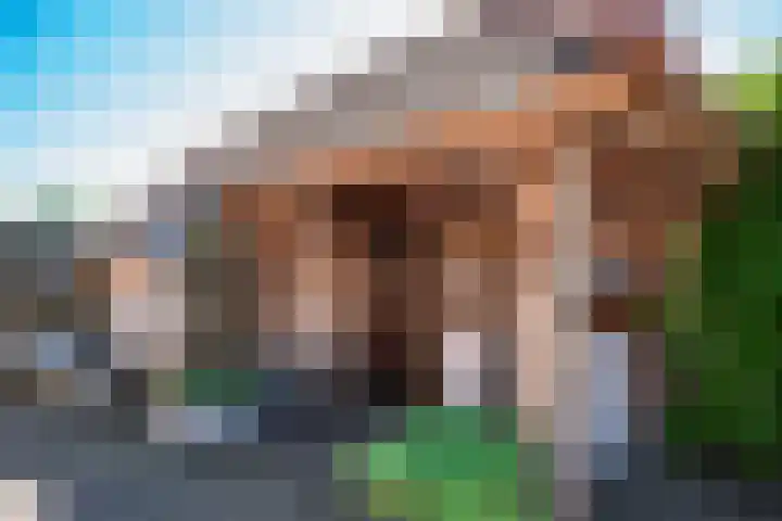 Oude Rijksweg 441 Rouveen thumbnail 66