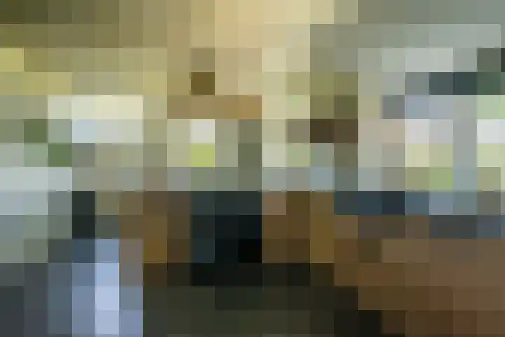 Oude Rijksweg 441 Rouveen thumbnail 7
