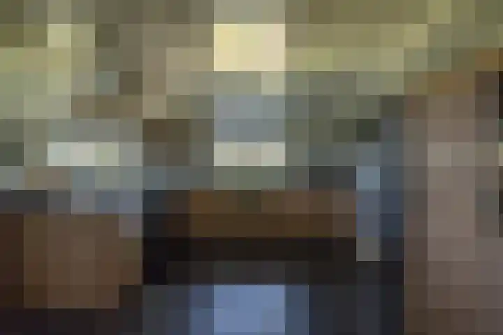 Oude Rijksweg 441 Rouveen thumbnail 8