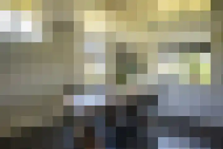 Oude Rijksweg 441 Rouveen thumbnail 9