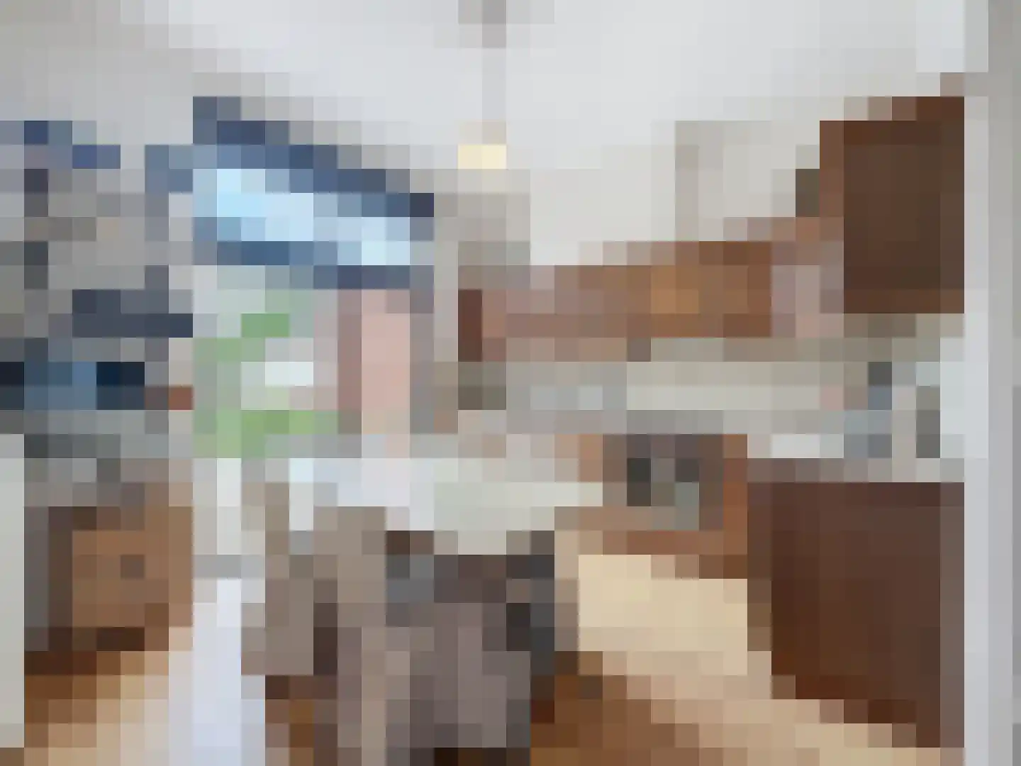 Oude Rijksweg 46 Breskens thumbnail 10
