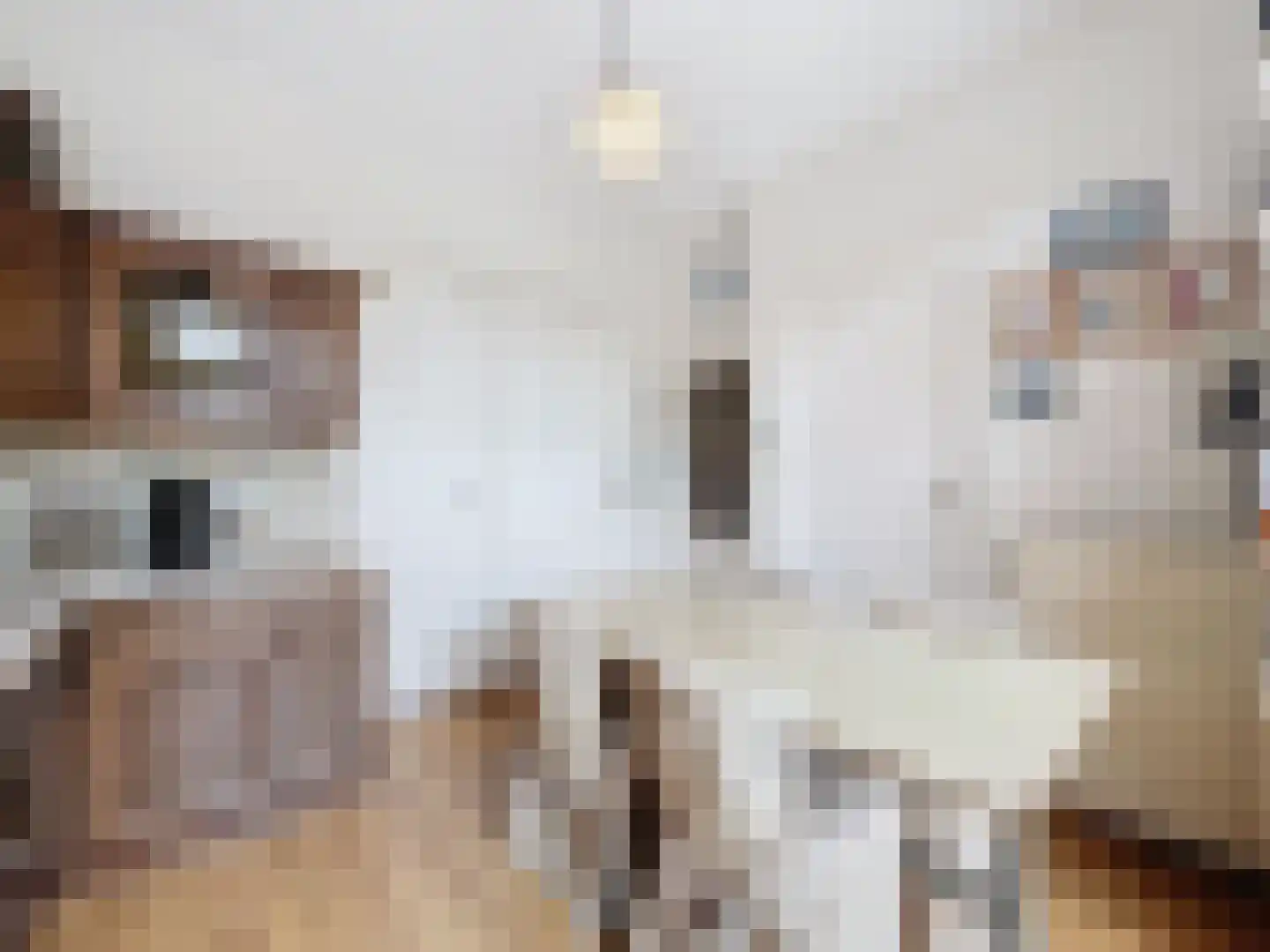 Oude Rijksweg 46 Breskens thumbnail 11