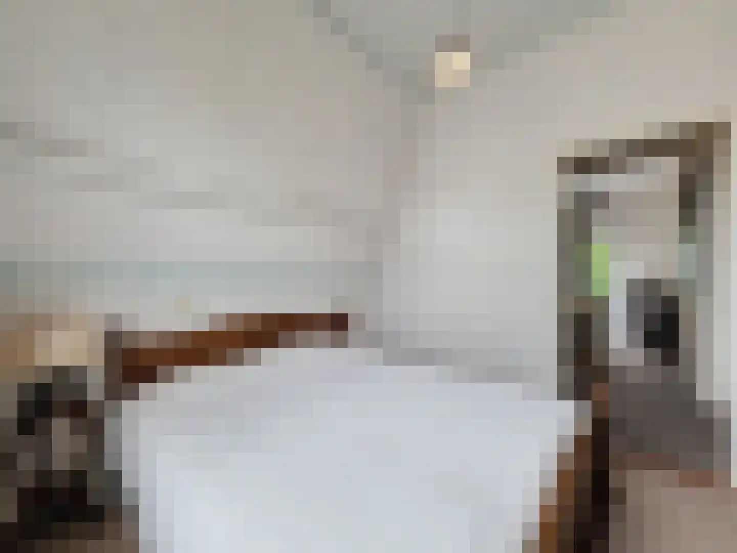 Oude Rijksweg 46 Breskens thumbnail 19