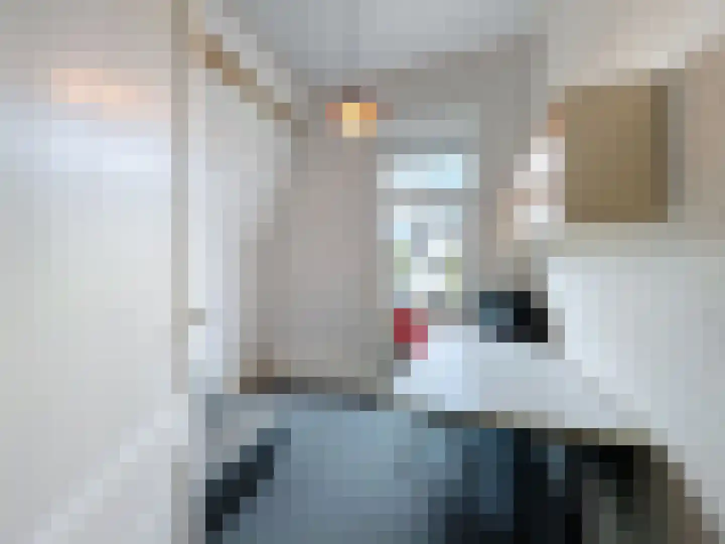 Oude Rijksweg 46 Breskens thumbnail 20