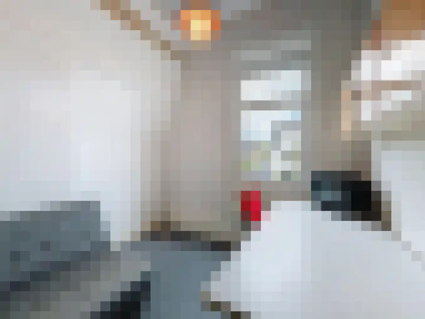 Oude Rijksweg 46 Breskens thumbnail 21