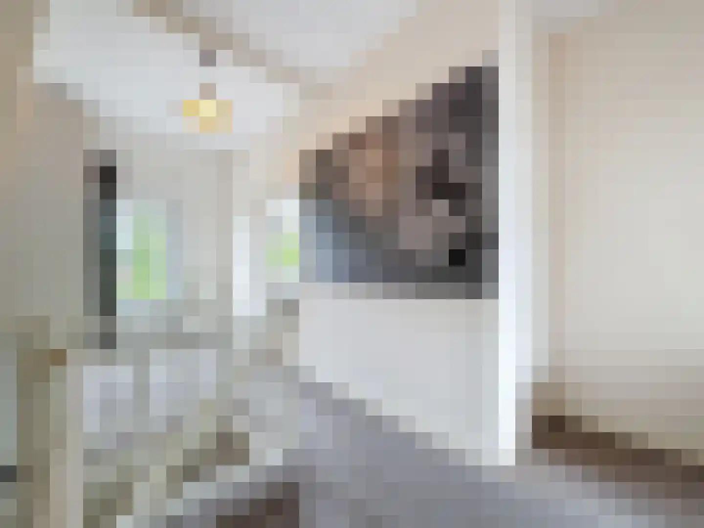 Oude Rijksweg 46 Breskens thumbnail 23