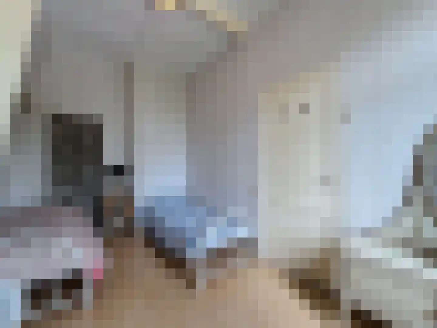 Oude Rijksweg 46 Breskens thumbnail 26