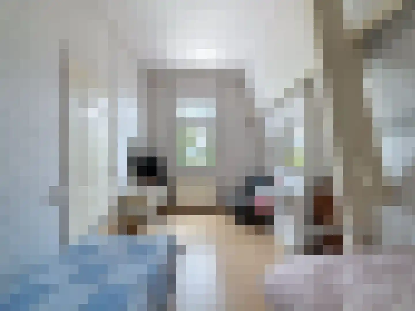 Oude Rijksweg 46 Breskens thumbnail 27