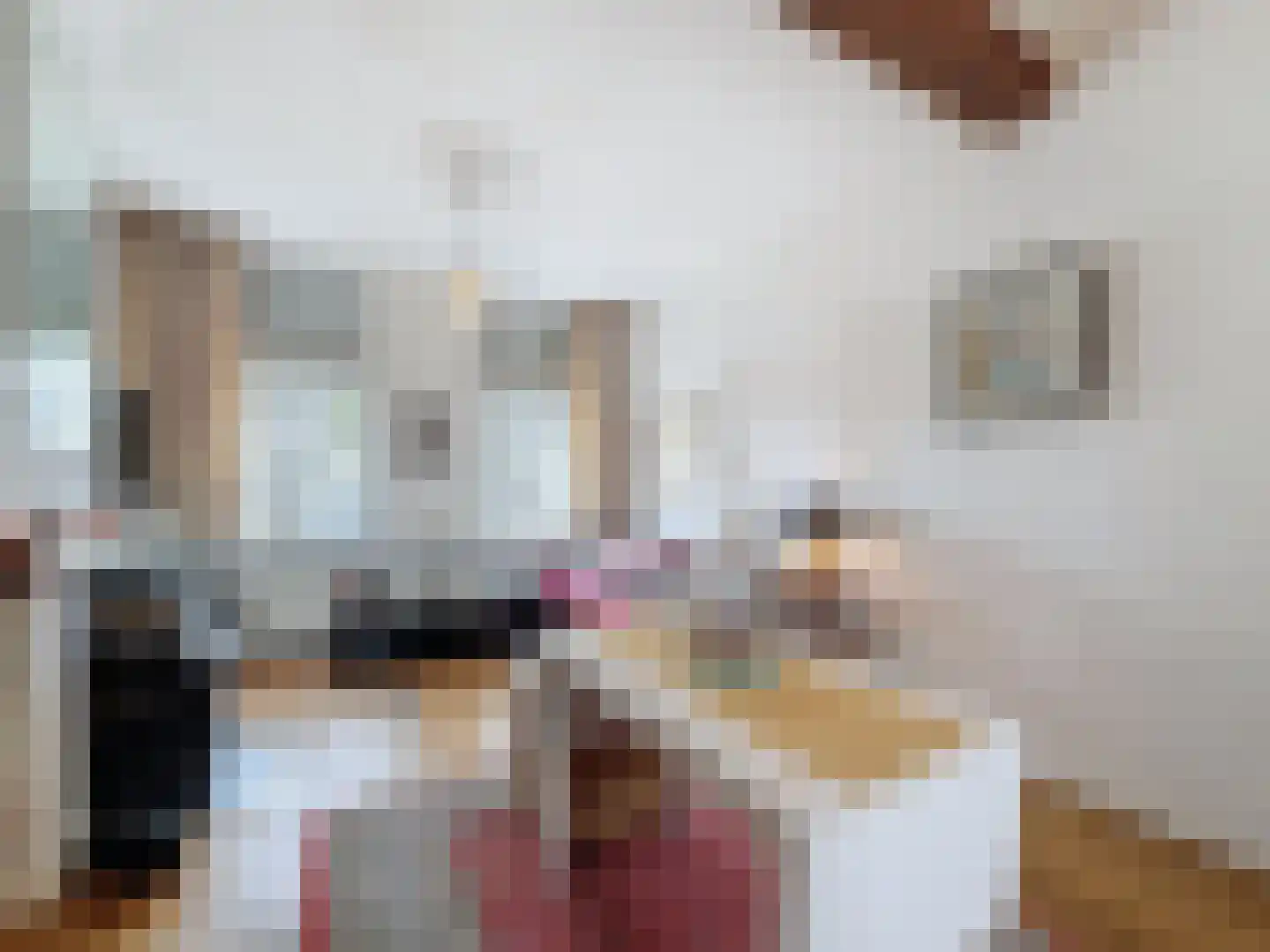 Oude Rijksweg 46 Breskens thumbnail 5