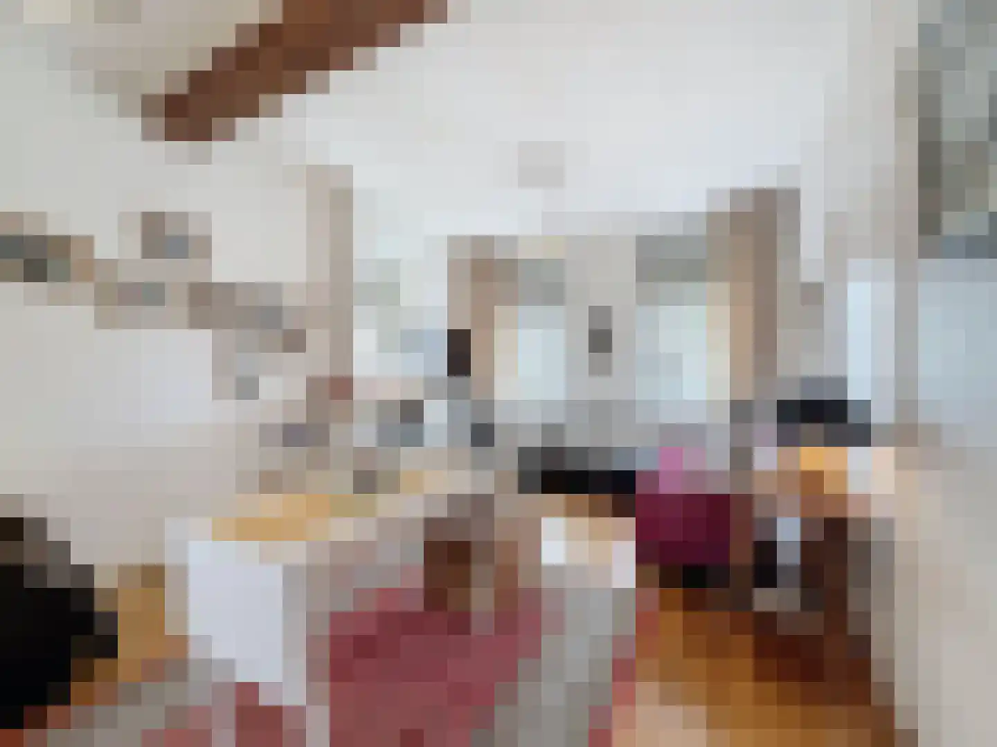 Oude Rijksweg 46 Breskens thumbnail 7
