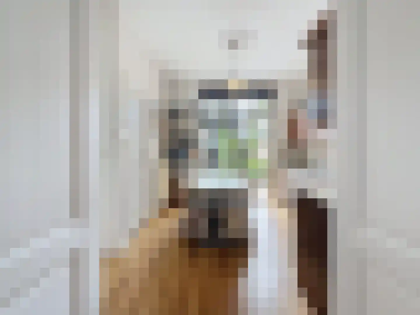 Oude Rijksweg 46 Breskens thumbnail 9