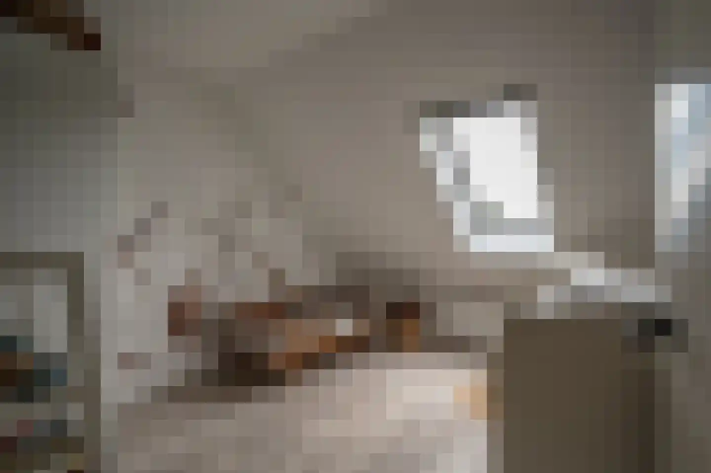 Oude Rijksweg 478 a 2 Rouveen thumbnail 26