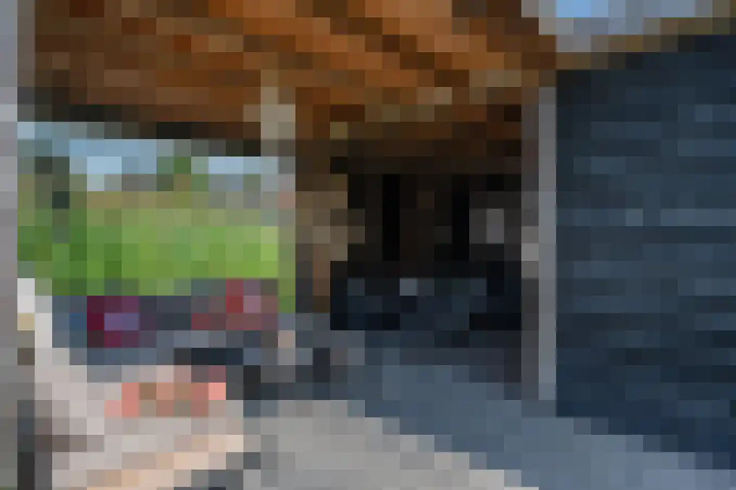 Oude Rijksweg 478 a 2 Rouveen thumbnail 35