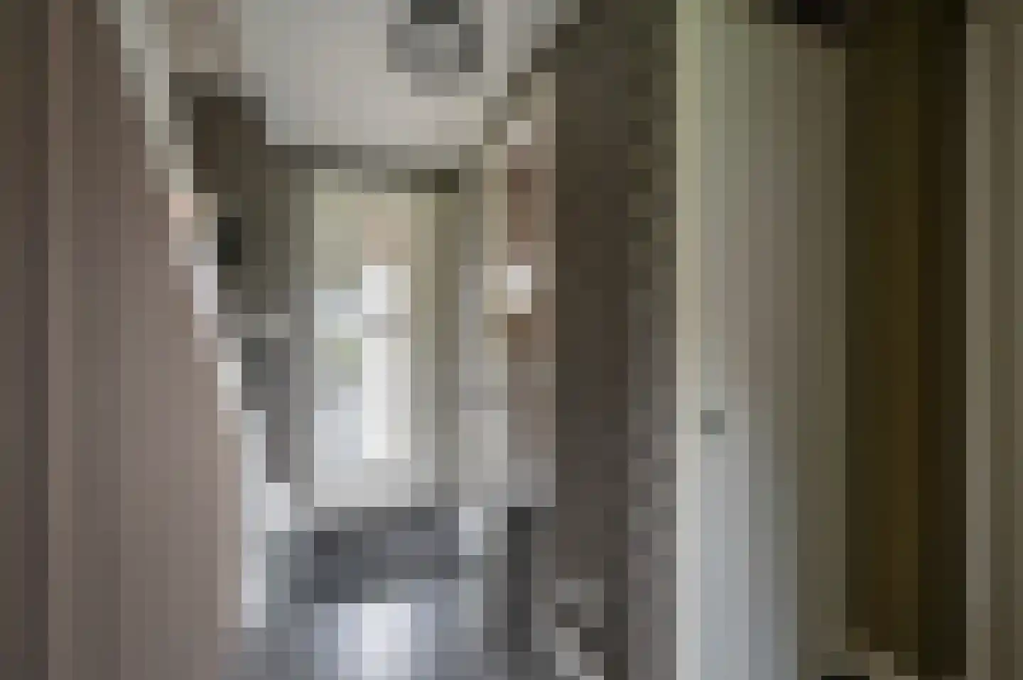 Oude Rijksweg 478 a 2 Rouveen thumbnail 8