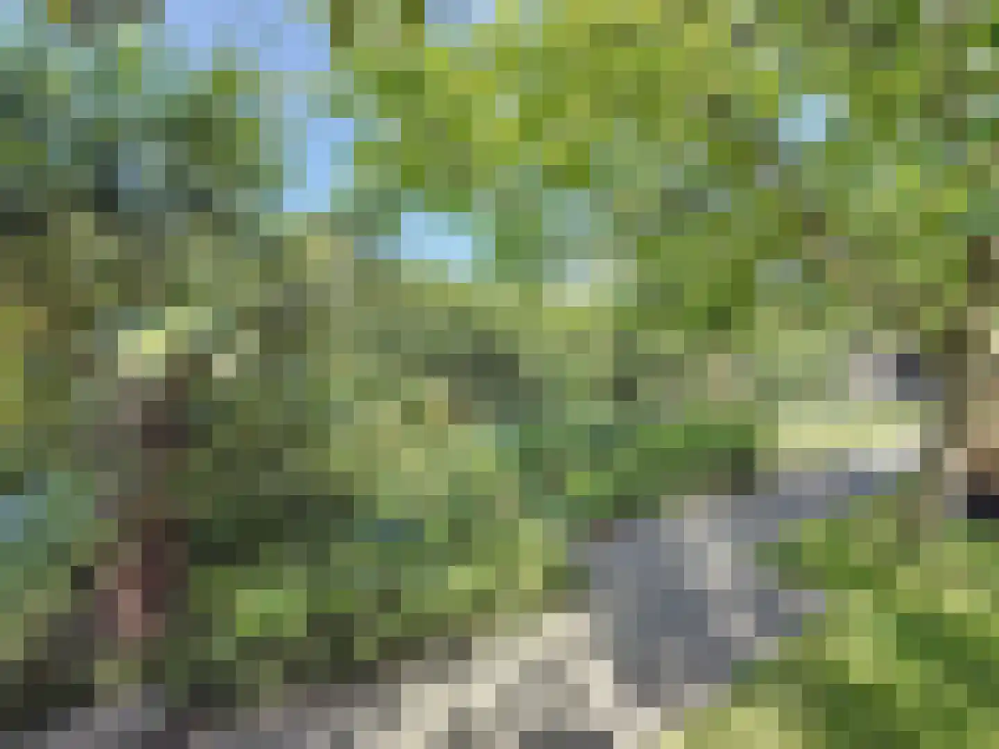Oude Rijksweg 50 Breskens thumbnail 28