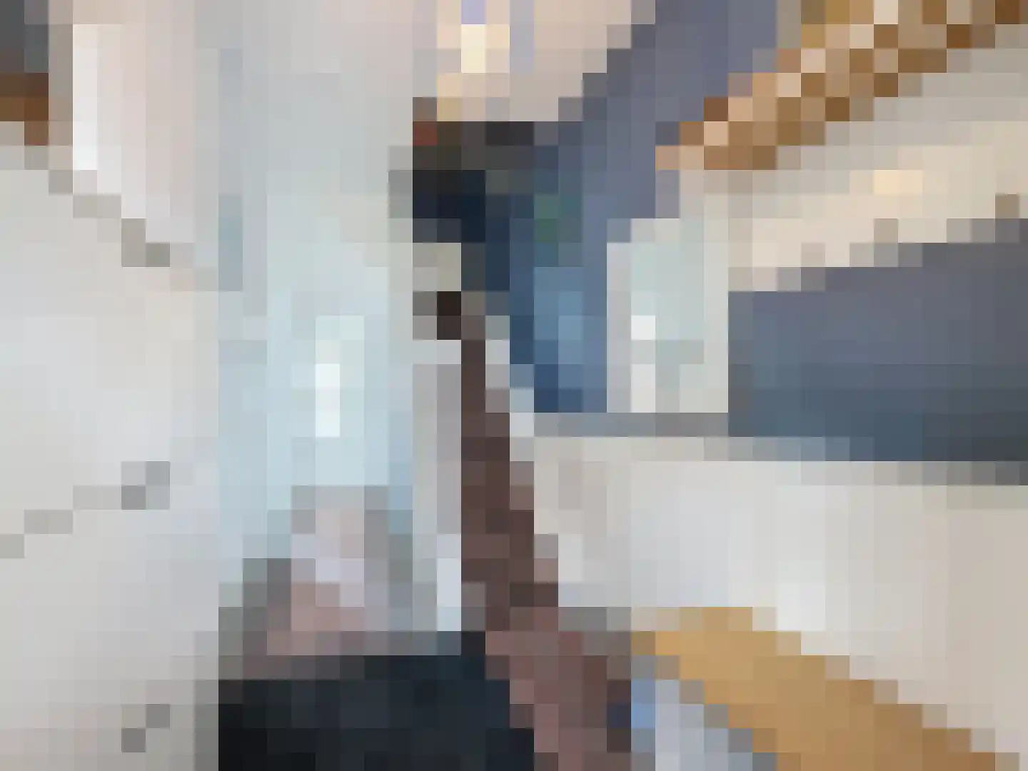 Oude Rijksweg 50 Breskens thumbnail 6